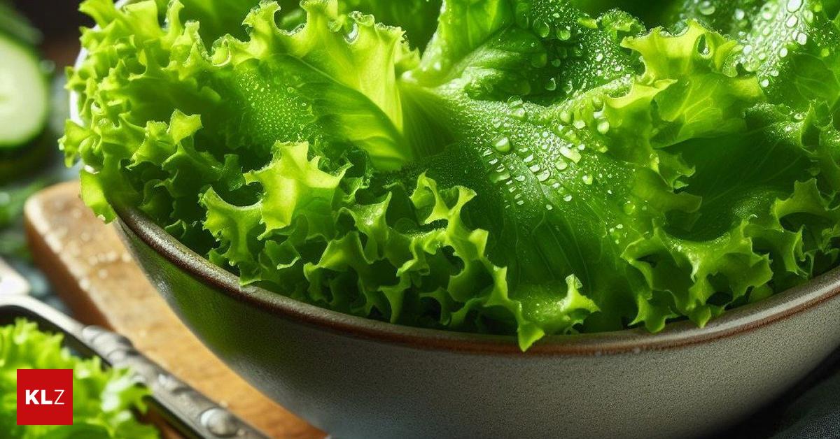 Dagobert-Rezept: Blattsalat mit Erdäpfelcroûtons Dagobert-Rezept: Blattsalat mit Erdäpfelcroûtons