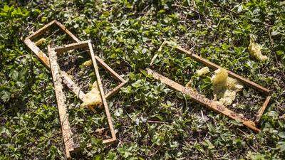 Die Reste des Bienenstocks in Maria Rain