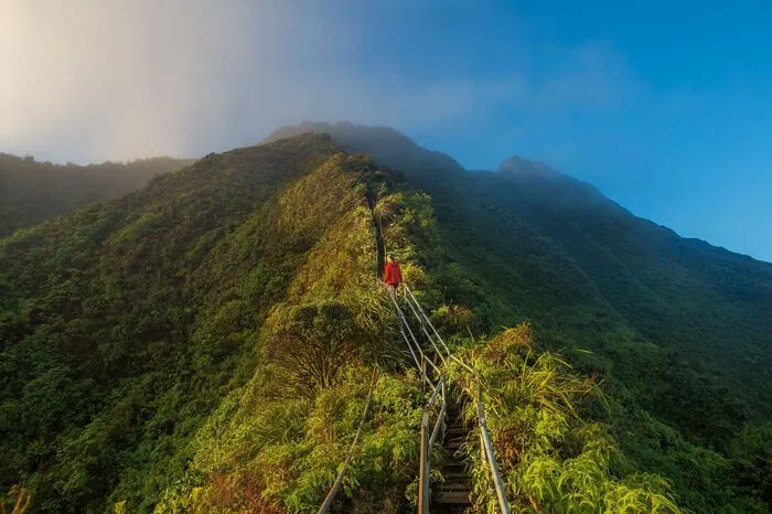 1942 wurden die Haiku Stairs in den Koolau-Bergen auf der Insel O'ahu erbaut, weil Bauarbeiter Telefonkabel für den Funkturm der US-Marine verlegen wollten. Rund 600 Höhenmeter für 3922 Stufen, die zwar mittlerweile renoviert, aber dennoch seit den 80ern nur illegal zu betreten sind. Wachen patroulieren rund um die Uhr.