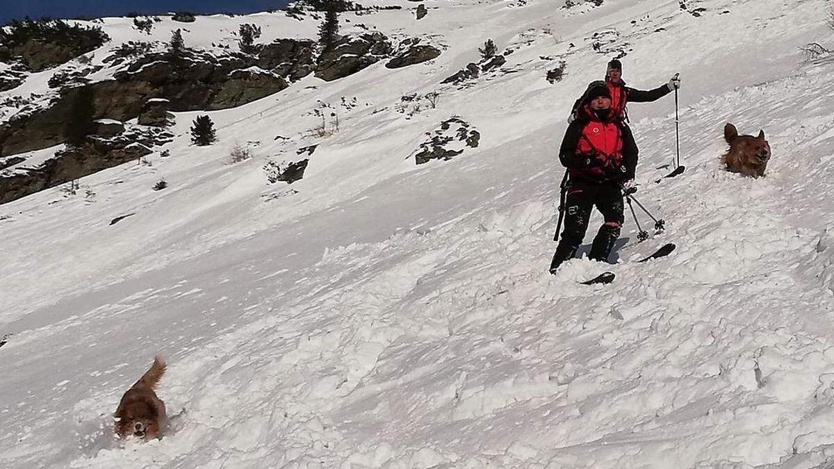 Hundeführer der Bergrettung mit ihren Vierbeinern im März bei Lawineneinsatz auf der Hochweberspitze in den Wölzer Tauern