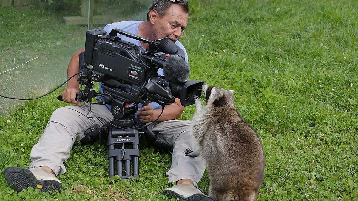 Kameramann Franz Posch und Waschbär Jimmy bei den Dreharbeiten am Wilden Berg in Mautern