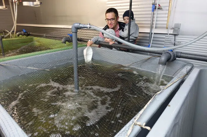 In großen Tanks leben Hunderte Fische.