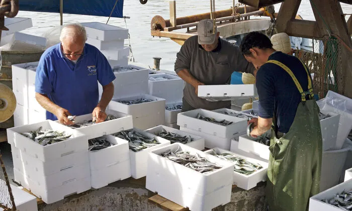 In Marano Lagunare können Sie fangfrischen Fisch genießen
