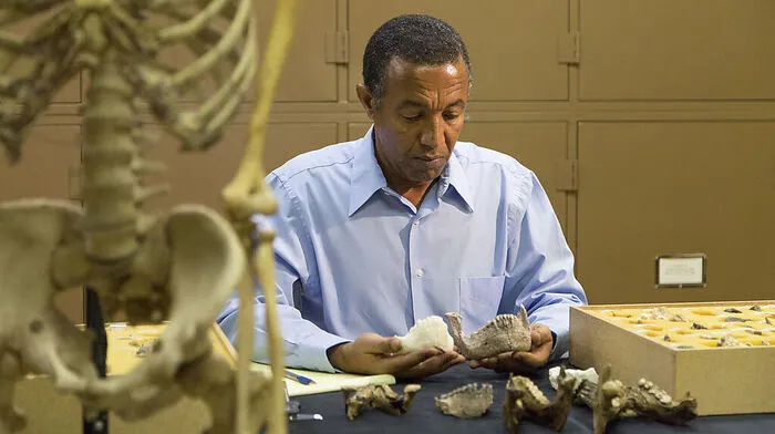 Yohannes Haile-Selasie vom Naturkundemuseum
