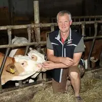 Manfred Schurians Kühe können auch auf die Wiese, halten sich aber vor allem bei Hitze am liebsten im Stall auf