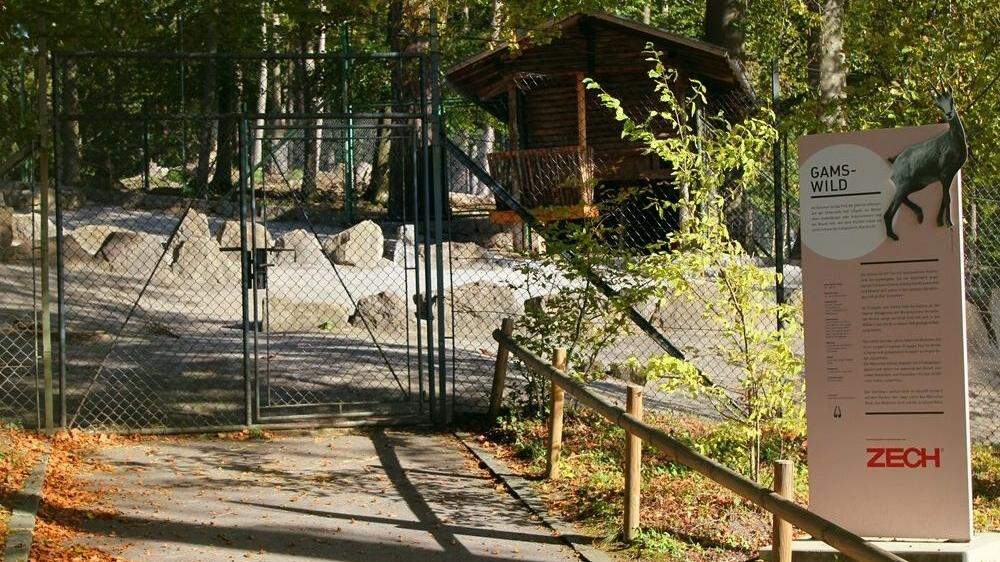 Der Täter griff die Joggerin im Wildpark in Feldkirch an.
