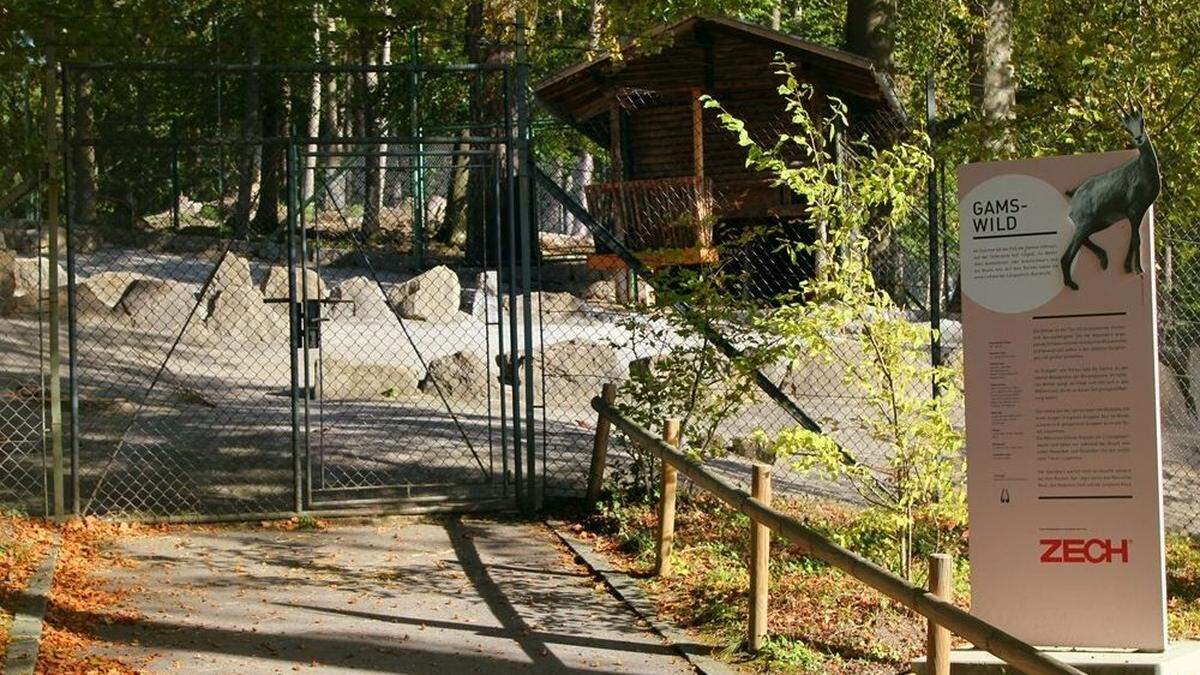 Der Täter griff die Joggerin im Wildpark in Feldkirch an.