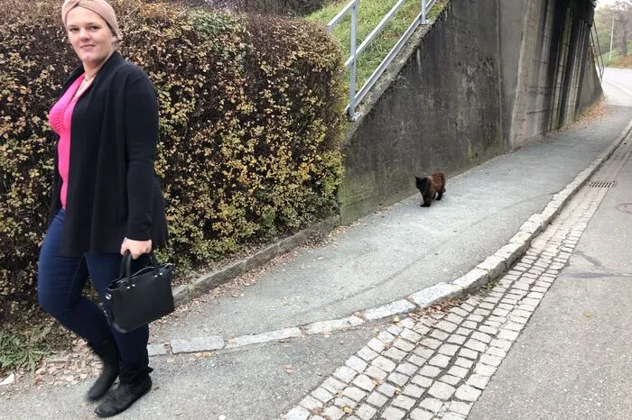 Immer mit dabei: Katze "Jazz"
