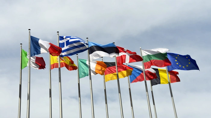 Welche Kompetenz sollten EU-Parlamentarier mitbringen?
