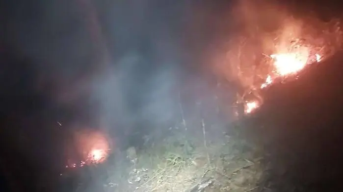 In Thörl brannte Donnerstagnacht der Wald