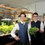 Jakob Hernach, Jakob Tritscher und Ferdinand Flucher vor ihrer Salatzucht aus der Nährlösung