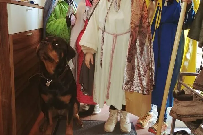Großen Andrang gab es in Fürstenfeld: 66 Kinder meldeten sich in der Pfarre Fürstenfeld freiwillig als Sternsinger.