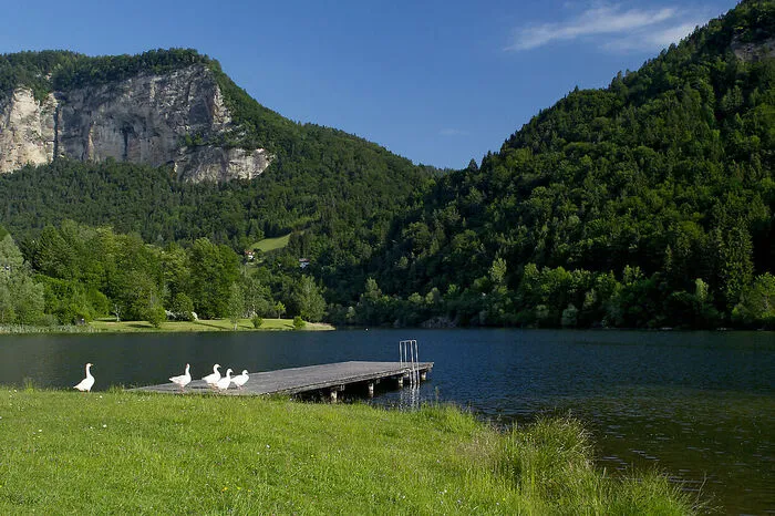 Der Linsendorfer See in Gallizien ist im alten Draubett angelegt. Beste Wasserqualität, eine naturbelassene Liegewiese und das Baden bei freiem Eintritt machen ihn zum Geheimtipp. Diese Idylle teilt man lediglich mit den Wasservögeln.