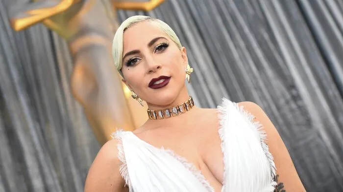 In Los Angeles wurden Sonntagabend die Filmpreise der US-Schauspielergewerkschaft Screen Actors Guild Awards (SGA) vergeben. Auch mit dabei: Lady Gaga. Sie spielt ja die Hauptrolle in "A Star is Born". Preis gab es für sie dieses Mal keinen.