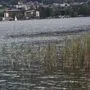 Im Ossiacher See wurden Bakterien nachgewiesen