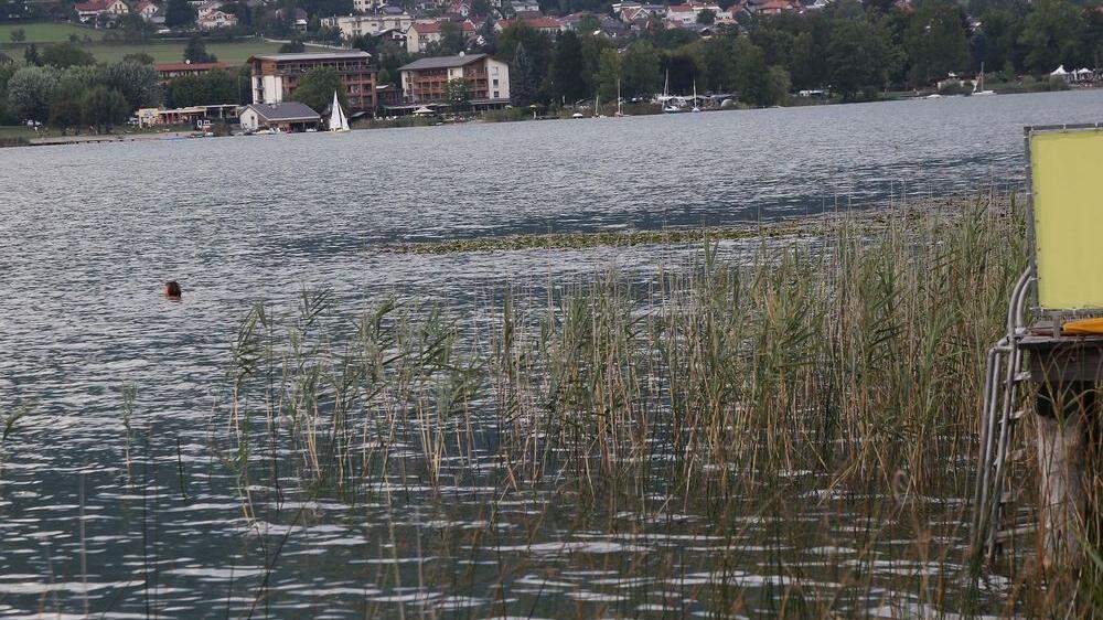 Im Ossiacher See wurden Bakterien nachgewiesen