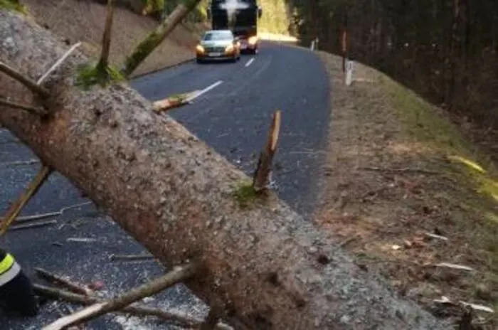 Auch in Maria Lankowitz, Pack und St. Martin am Wöllmißberg kippten die Bäume reihenweise um. Klicken Sie sich durch weitere Bilder.