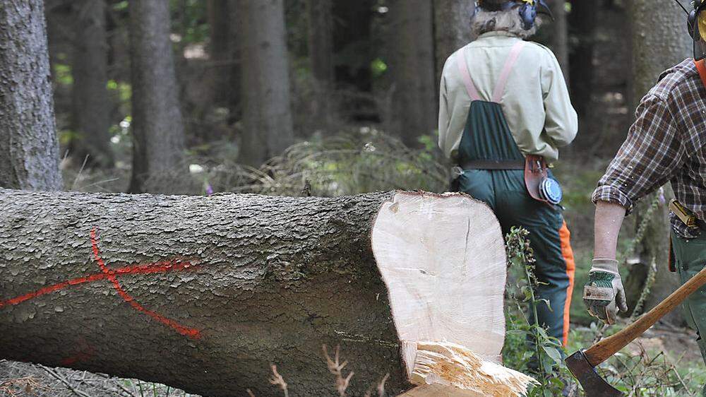 Tödlicher Unfall bei Holzarbeiten in Vasoldsberg