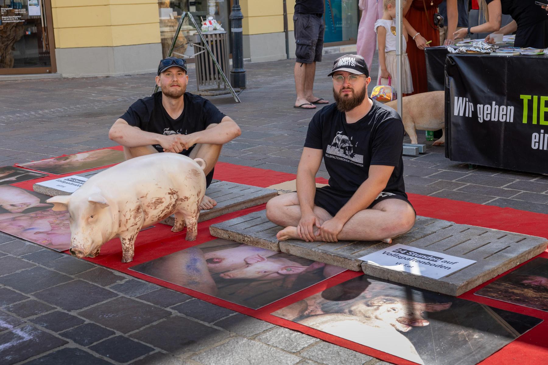 Tierschützer verbringen 24 Stunden auf Vollspaltenboden in Kärnten