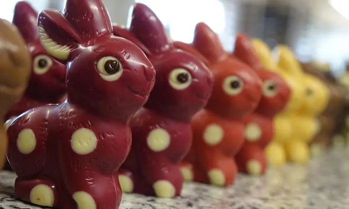 Auch die "Fruchthasen" aus Zotter-Schokolade können nur mehr online erworben werden