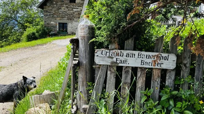 Hofhund "Nessi" begrüßt Besucher auf 1450 Metern Seehöhe