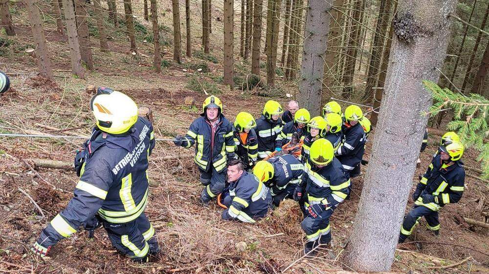 Die Feuerwehr-Kameraden eilten in einem Wald zur Hilfe