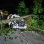 Im Juli 2023 traf ein Baum ein Auto während der Fahrt
