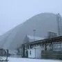Das Land um das Atomkraftwerk Tschernobyl galt lange als unbrauchbar