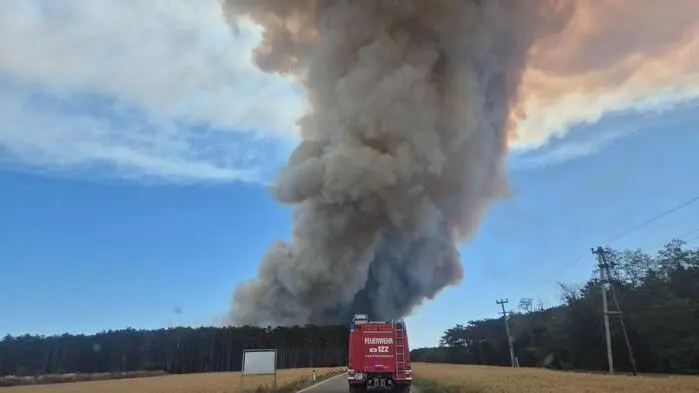 Erneut steht ein Föhrenwald in St. Egyden (Bezrik Neunkirchen) in Brand