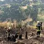 Der Waldbrand im Lesachtal richtete auf 110 Hektar schwere Schäden an. Bei der Wiederaufforstung solcher Flächen sei fachliche Expertise nötig, um Wald klimafit zu machen