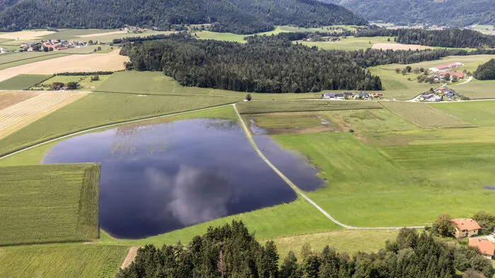 Auf einer Wiese im Bezirk Völkermarkt hat sich ein See gebildet. Grundwasser drückt hier nach oben. An vielen Orten in Kärnten sieht es derzeit so aus.