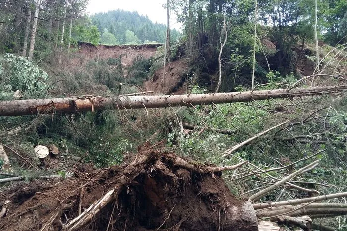 Hangrutschungen Bereich Klippitzgraben