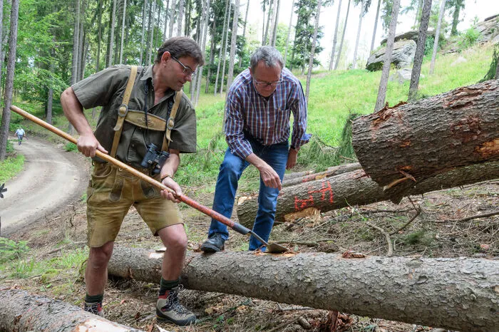 Die Erwärmung verschiebt auch die Baumgrenze nach oben. "Daher haben wir reagiert und neue Strategien entwickelt." Es geht darum wie der Wald im Jahr 2100 ausschaut und vor allem gesund und auch erträglich ist.