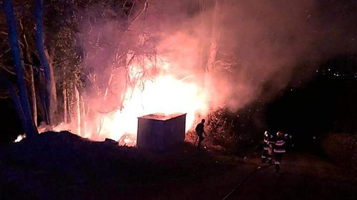 Ein Asthaufen hatte zu brennen begonnen, das Feuer griff rasch auf angrenzende Bäume über