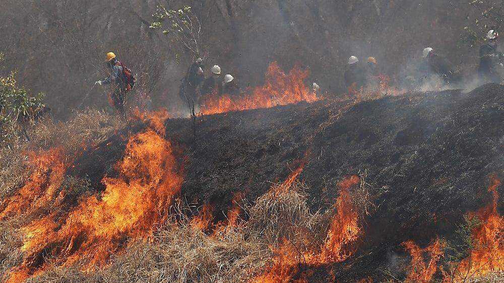 Kampf gegen das Feuer in Bolivien