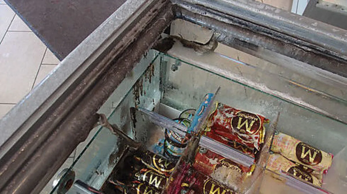 Die defekte Kühltruhe