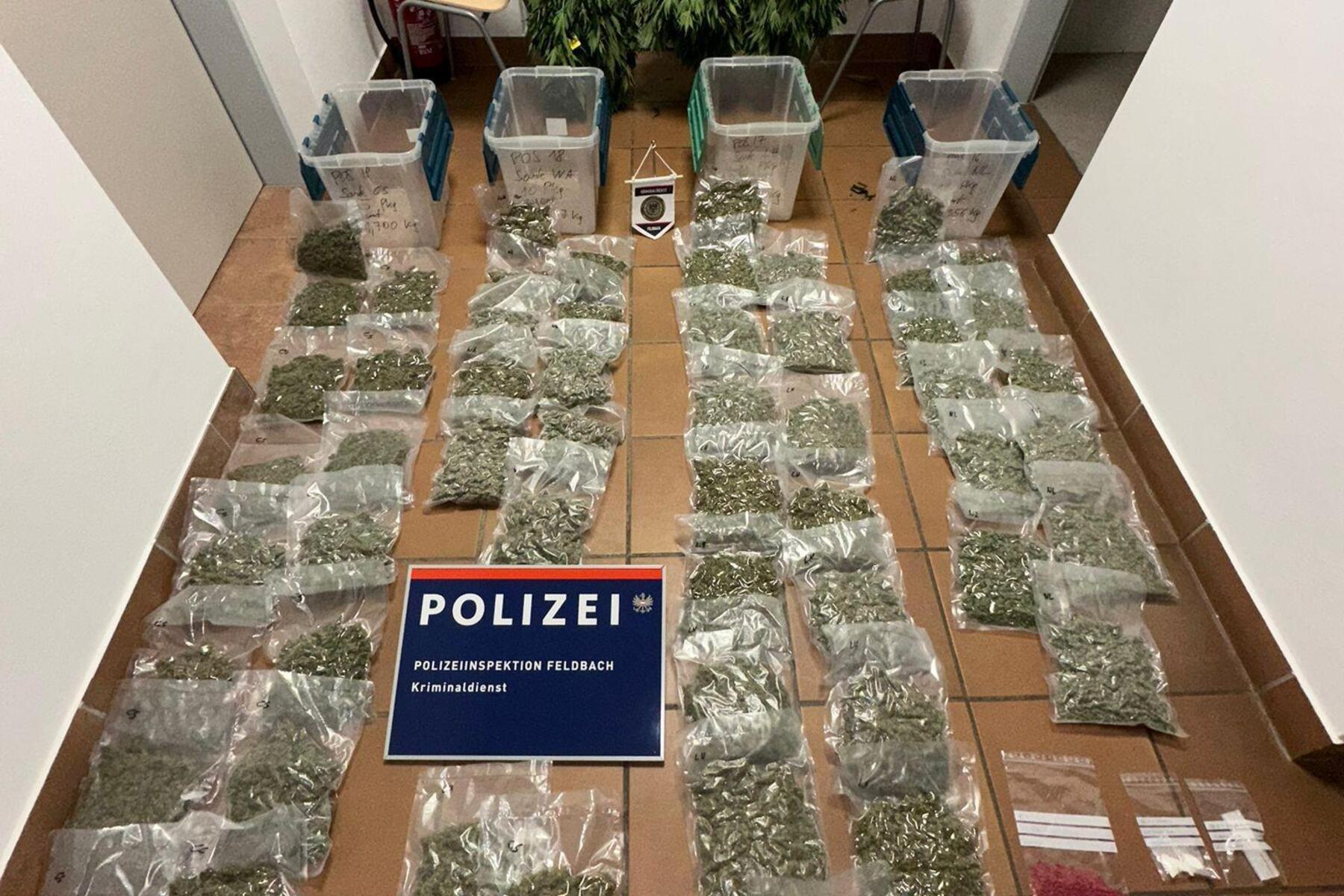 Mit 6,5 Kilo festgenommen: 56-jähriger Südoststeirer baute Marihuana an
