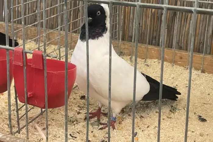 Klicken Sie sich durch die restlichen Bilder!