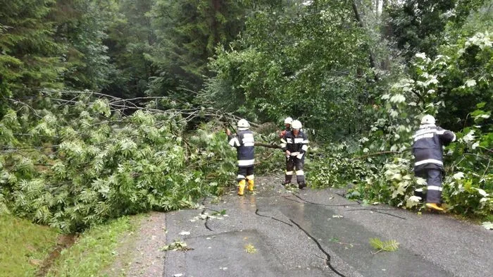 Von Kärnten kommend zog das Unwetter durch Deutschlandsberg, Leibnitz und die Südoststeiermark weiter nach Slowenien. Sturmböen knickten reihenweise Bäume.