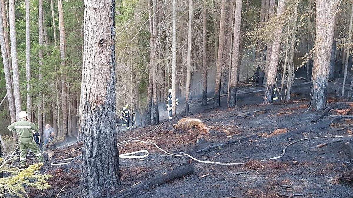 80 Feuerwehrleute standen in Velden im Einsatz