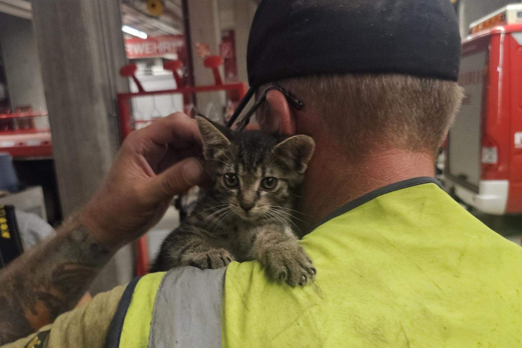 Feuerwehr rettet süßes Kätzchen aus Motorraum in Kärnten