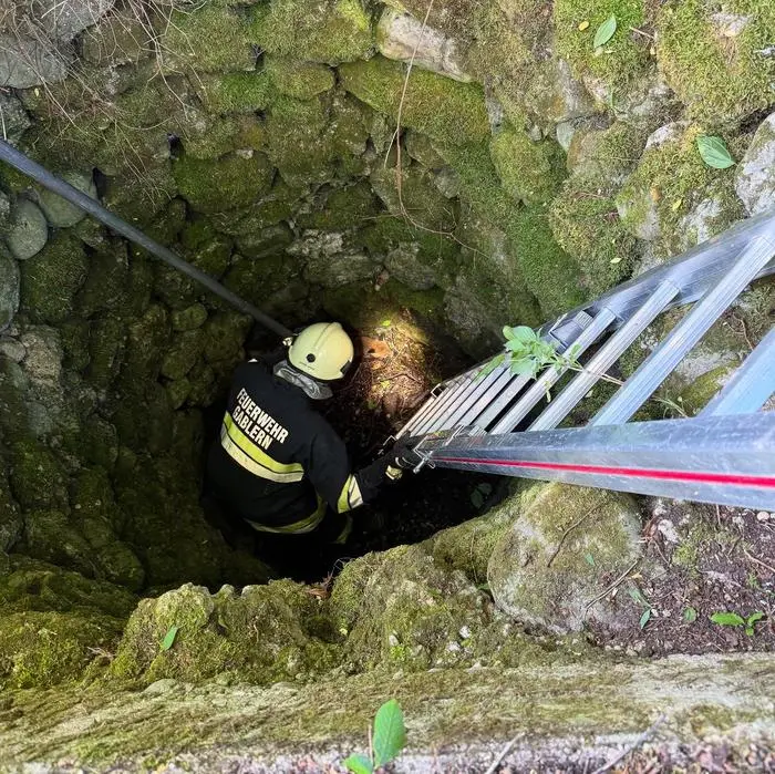 Ein Kamerad der Feuerwehr stieg mit einer Leiter in den Brunnen und barg das Jungtier