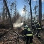 Man sieht Feuerwehrleute gegen einen Waldbrand kämpfen | Die BF Klagenfurt und die FF Kalvarienberg konnten das Feuer löschen