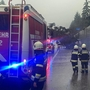 Man sieht einen umgestürzten Baum und einen Feuerwehrwagen auf der Autobahn