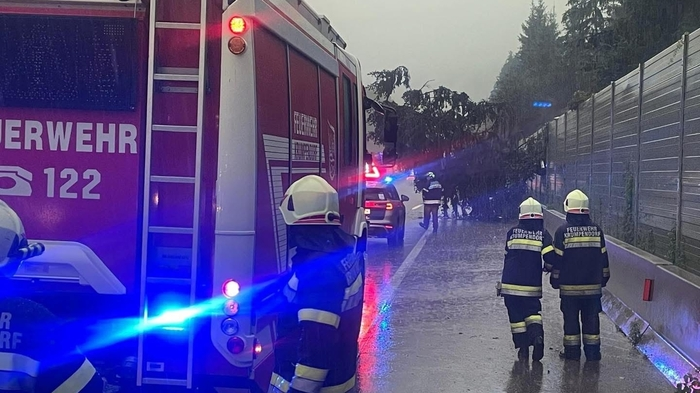 Man sieht einen umgestürzten Baum und einen Feuerwehrwagen auf der Autobahn