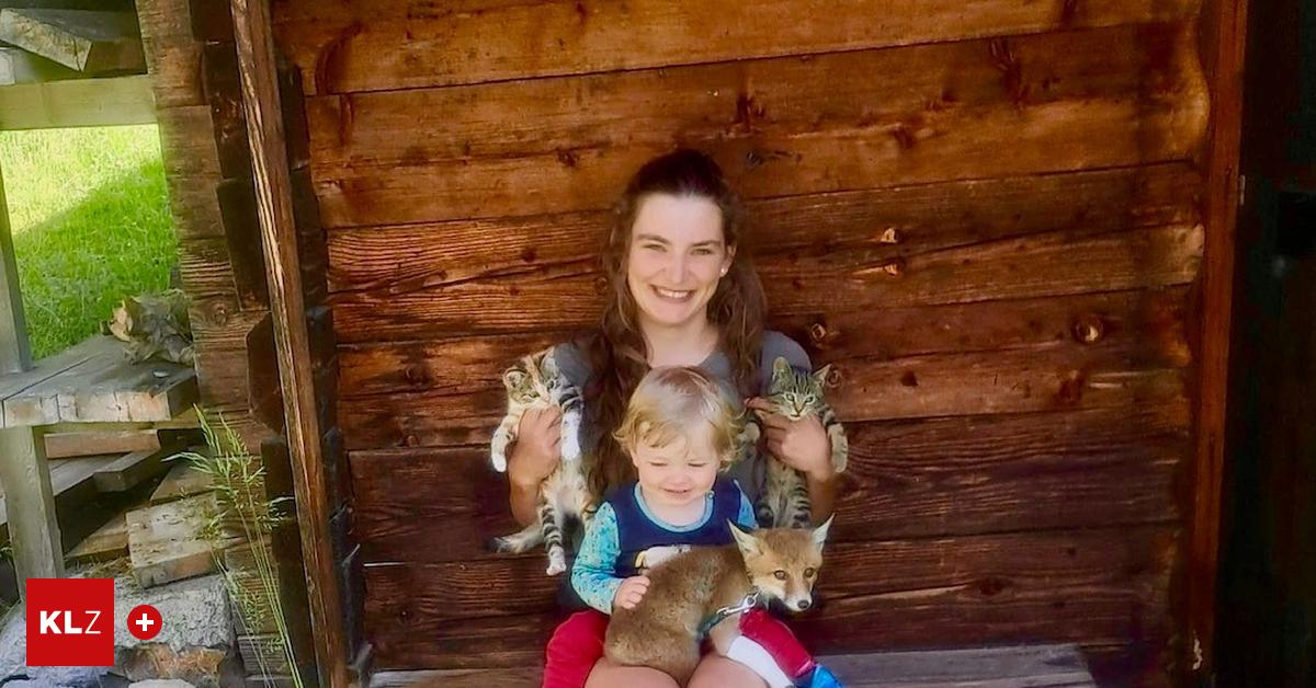 22-year-old shepherdess rescues injured baby fox and takes it to