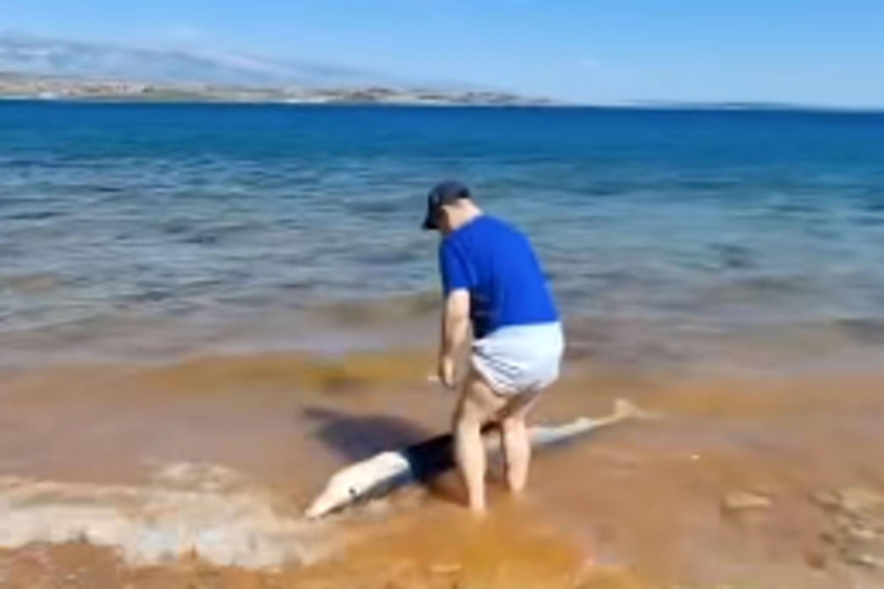 Familie macht auf kroatischer Urlaubsinsel ungewöhnlichen Fund