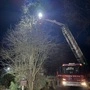 Man sieht einen hohen Baum, daneben einen Feuerwehrwagen mit ausgefahrener Drehleiter | Eine Katze wurde aus luftiger Höhe gerettet