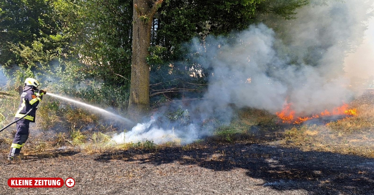 Sommer stellt Kärntner Feuerwehren vor extreme Herausforderungen