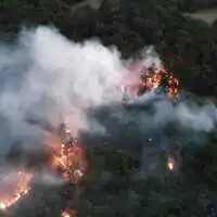 Waldbrände bei Triest